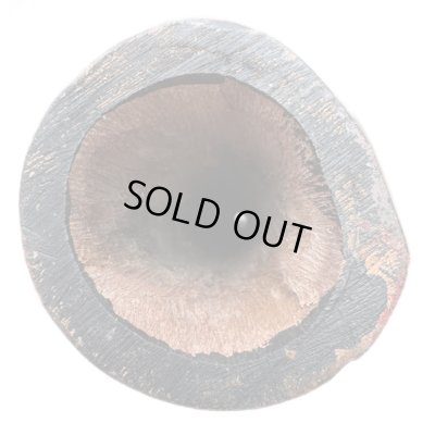 画像6: 【AS-2502】 Travis Sessin