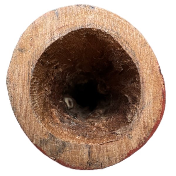 画像6: 【AS-2517】 Frankie Tango Lane (6)