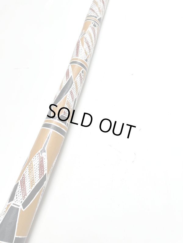 画像3: 【2509】 Frankie Tango Lane (3)