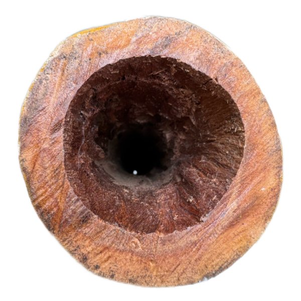 画像7: 【AS-2508】Frankie Tango Lane (7)